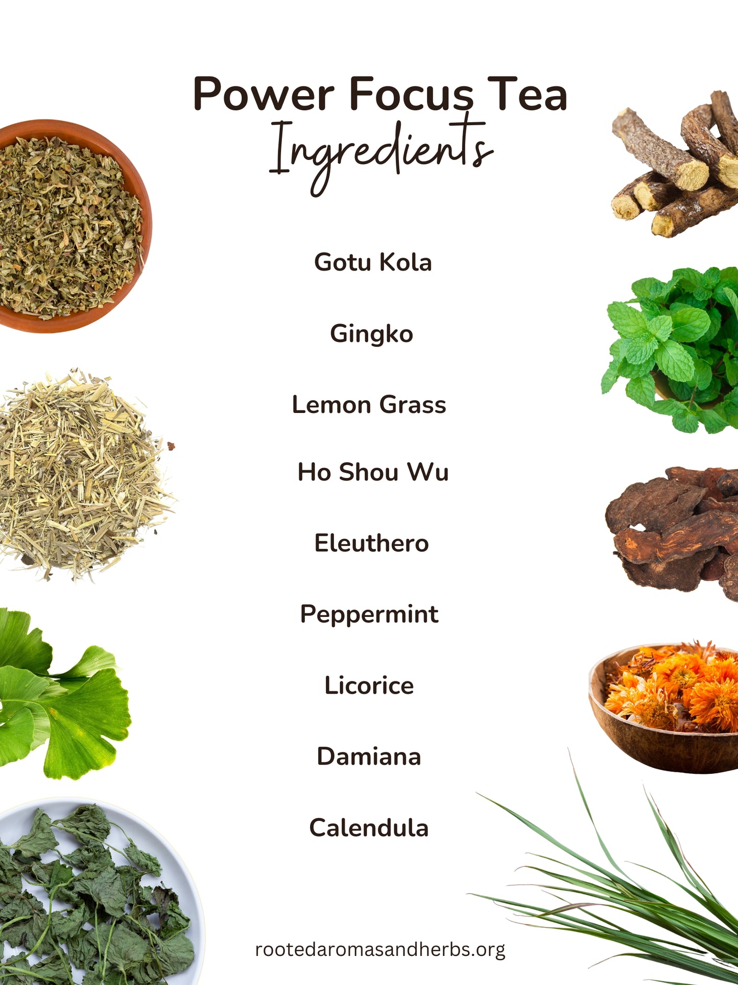 Power Focus Herbal Blend Loose Tea